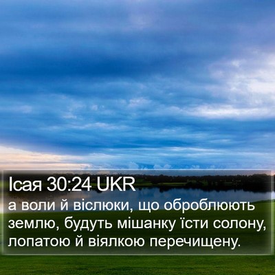 Ісая 30:24 UKR Bible Verse Image