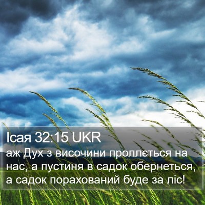 Ісая 32:15 UKR Bible Verse Image
