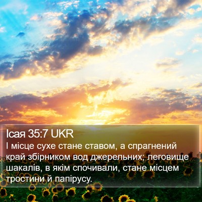 Ісая 35:7 UKR Bible Verse Image