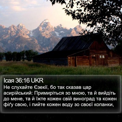 Ісая 36:16 UKR Bible Verse Image
