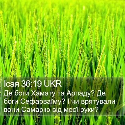 Ісая 36:19 UKR Bible Verse Image