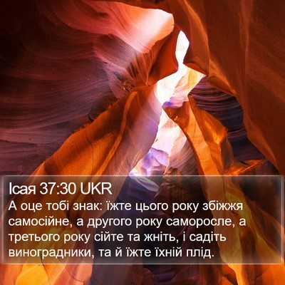 Ісая 37:30 UKR Bible Verse Image