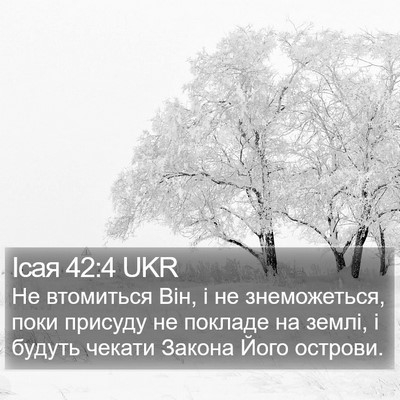 Ісая 42:4 UKR Bible Verse Image