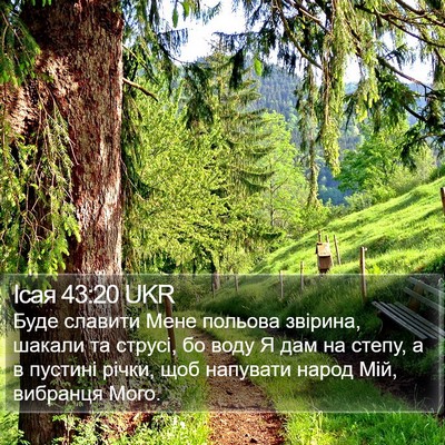 Ісая 43:20 UKR Bible Verse Image