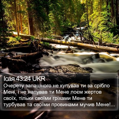 Ісая 43:24 UKR Bible Verse Image