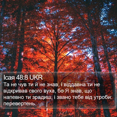 Ісая 48:8 UKR Bible Verse Image