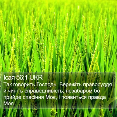 Ісая 56:1 UKR Bible Verse Image