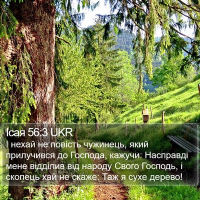 Ісая 56:3 UKR Bible Verse Image