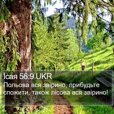 Ісая 56:9 UKR Bible Verse Image