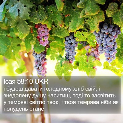 Ісая 58:10 UKR Bible Verse Image