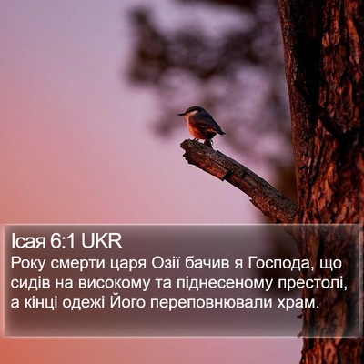 Ісая 6:1 UKR Bible Verse Image