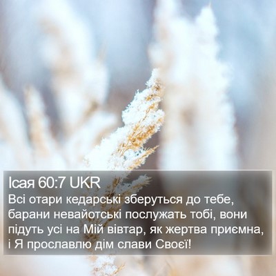 Ісая 60:7 UKR Bible Verse Image
