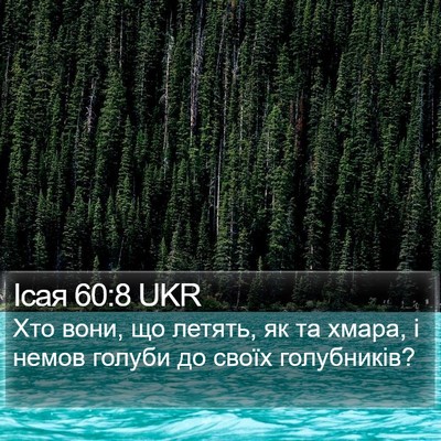 Ісая 60:8 UKR Bible Verse Image