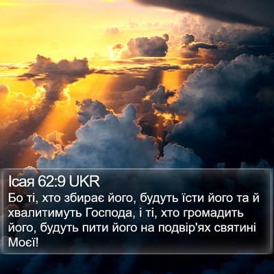 Ісая 62:9 UKR Bible Verse Image