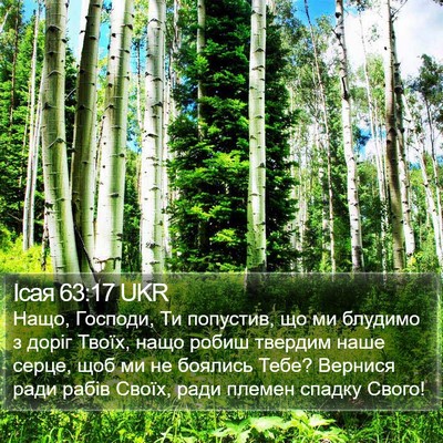 Ісая 63:17 UKR Bible Verse Image