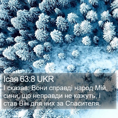 Ісая 63:8 UKR Bible Verse Image