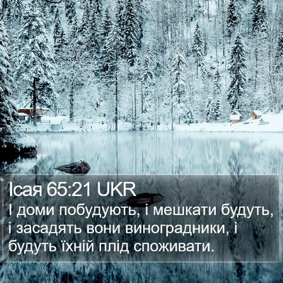 Ісая 65:21 UKR Bible Verse Image