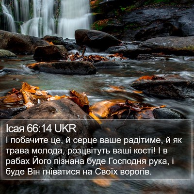 Ісая 66:14 UKR Bible Verse Image