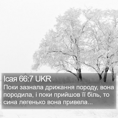 Ісая 66:7 UKR Bible Verse Image