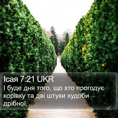 Ісая 7:21 UKR Bible Verse Image