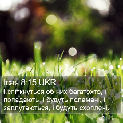 Ісая 8:15 UKR Bible Verse Image