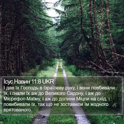 Ісус Навин 11:8 UKR Bible Verse Image