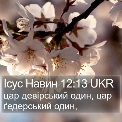 Ісус Навин 12:13 UKR Bible Verse Image