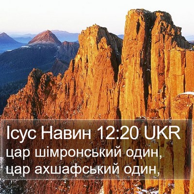 Ісус Навин 12:20 UKR Bible Verse Image