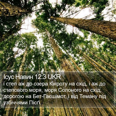 Ісус Навин 12:3 UKR Bible Verse Image