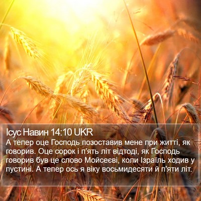 Ісус Навин 14:10 UKR Bible Verse Image