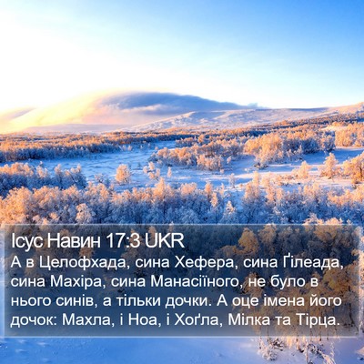 Ісус Навин 17:3 UKR Bible Verse Image