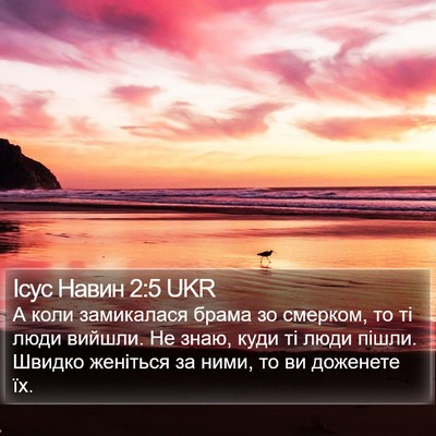 Ісус Навин 2:5 UKR Bible Verse Image