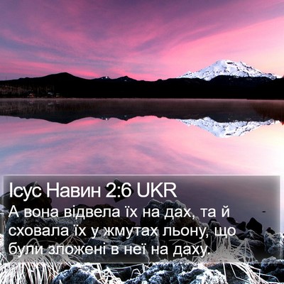 Ісус Навин 2:6 UKR Bible Verse Image