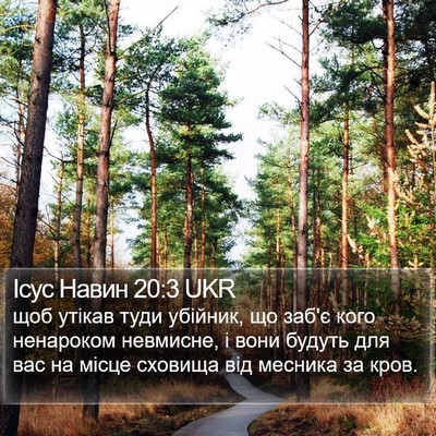 Ісус Навин 20:3 UKR Bible Verse Image