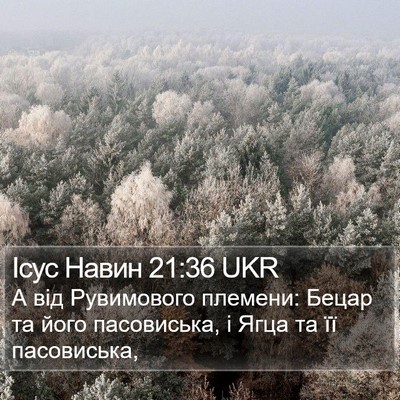 Ісус Навин 21:36 UKR Bible Verse Image