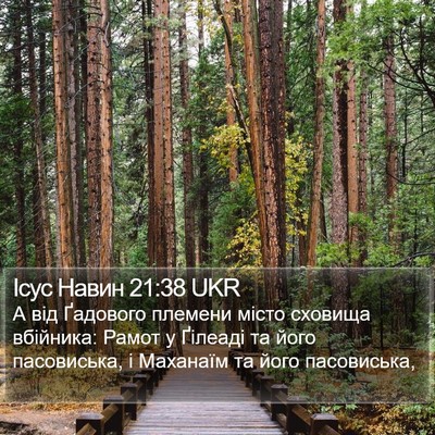 Ісус Навин 21:38 UKR Bible Verse Image