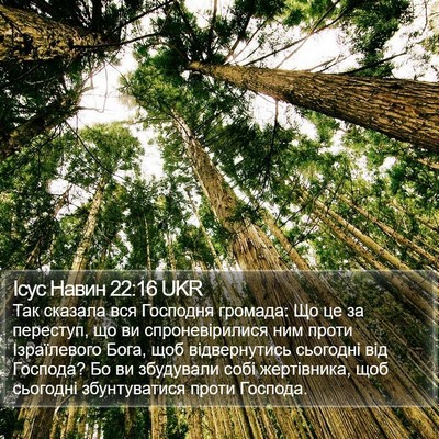 Ісус Навин 22:16 UKR Bible Verse Image