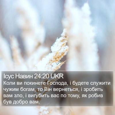 Ісус Навин 24:20 UKR Bible Verse Image