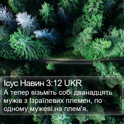 Ісус Навин 3:12 UKR Bible Verse Image