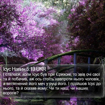 Ісус Навин 5:13 UKR Bible Verse Image