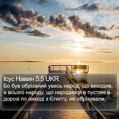 Ісус Навин 5:5 UKR Bible Verse Image