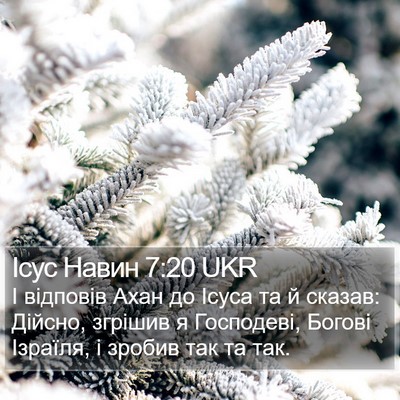 Ісус Навин 7:20 UKR Bible Verse Image