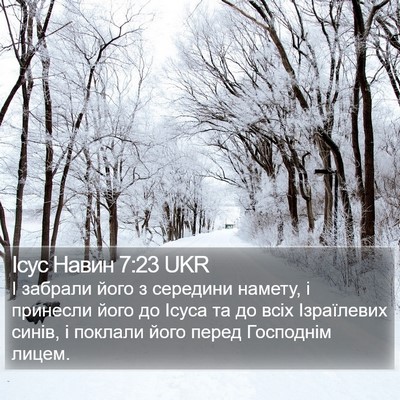 Ісус Навин 7:23 UKR Bible Verse Image