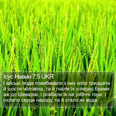 Ісус Навин 7:5 UKR Bible Verse Image