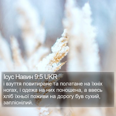 Ісус Навин 9:5 UKR Bible Verse Image