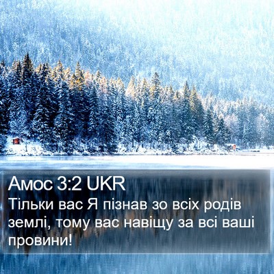 Амос 3:2 UKR Bible Verse Image