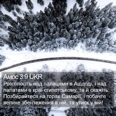 Амос 3:9 UKR Bible Verse Image