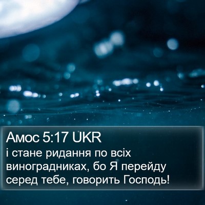 Амос 5:17 UKR Bible Verse Image