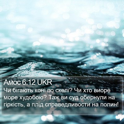Амос 6:12 UKR Bible Verse Image