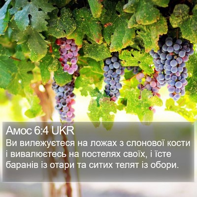 Амос 6:4 UKR Bible Verse Image